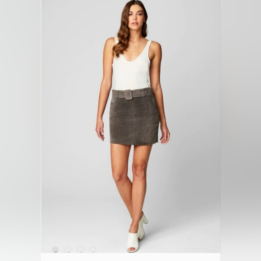 BlankNYC 100% LEATHER, Gray High Altitude Suede Leather Belted Skirt, 25/XS, NWT